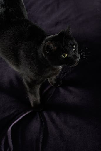 30057 - Foto 2